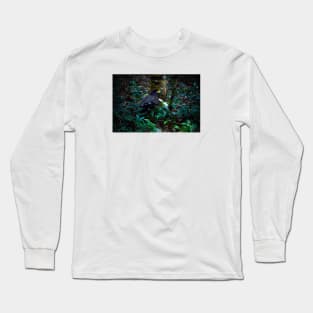 Eagle II / Swiss Artwork Photography Long Sleeve T-Shirt